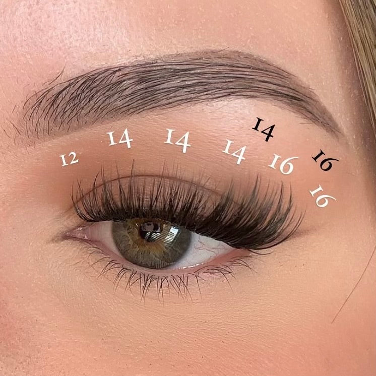 First Class Multi-pack